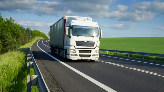 Avis Insurance